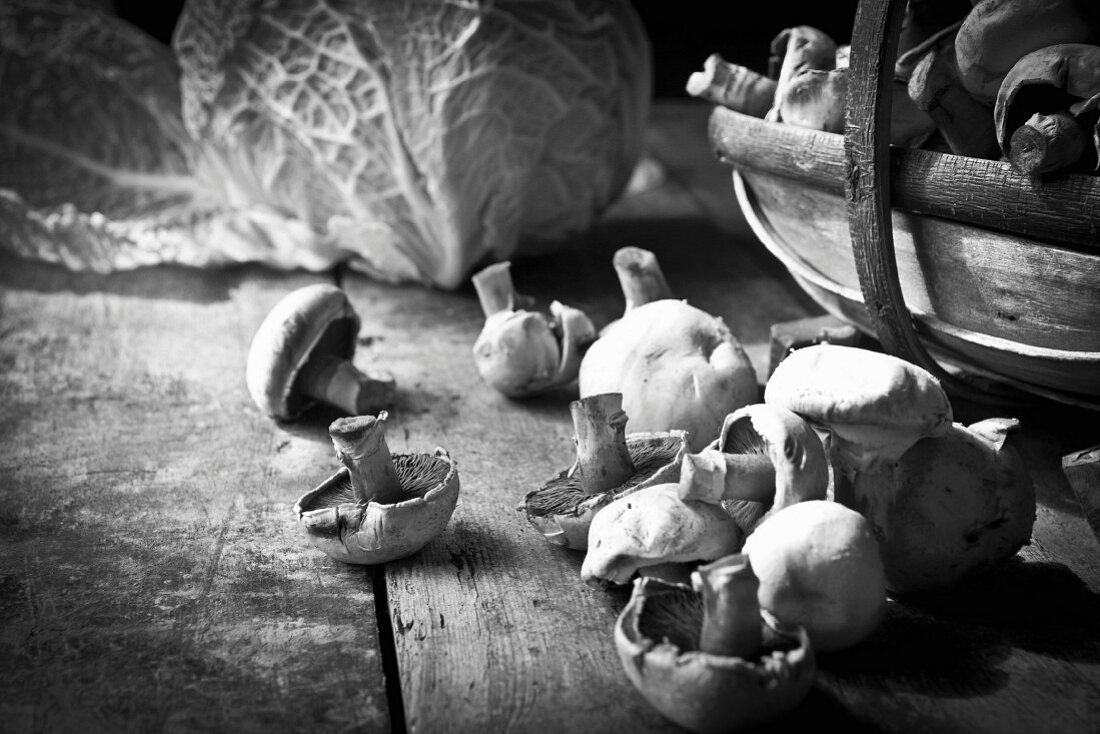 Wiesenchampignons in einem Holzkorb, dahinter Wirsingkohl(s/w-Aufahme)