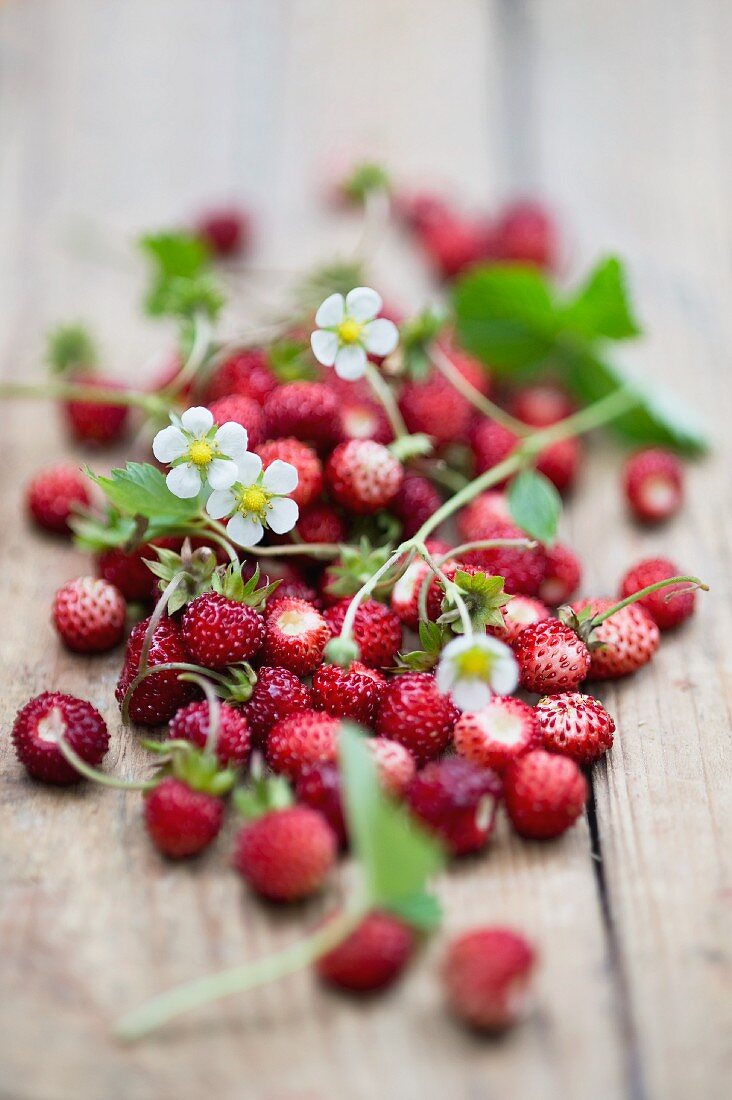 Wild strawberries with leaves and flowers on a wooden surface
