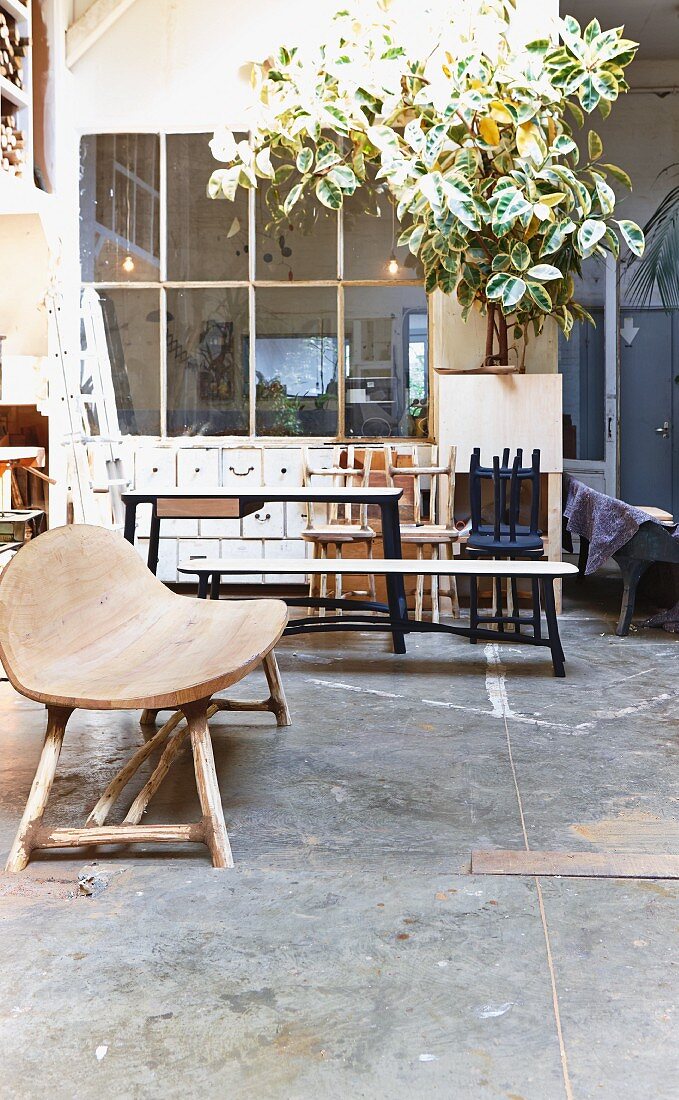 Hand-crafted wooden bench on concrete floor in front of seating area and tall houseplant against glass wall