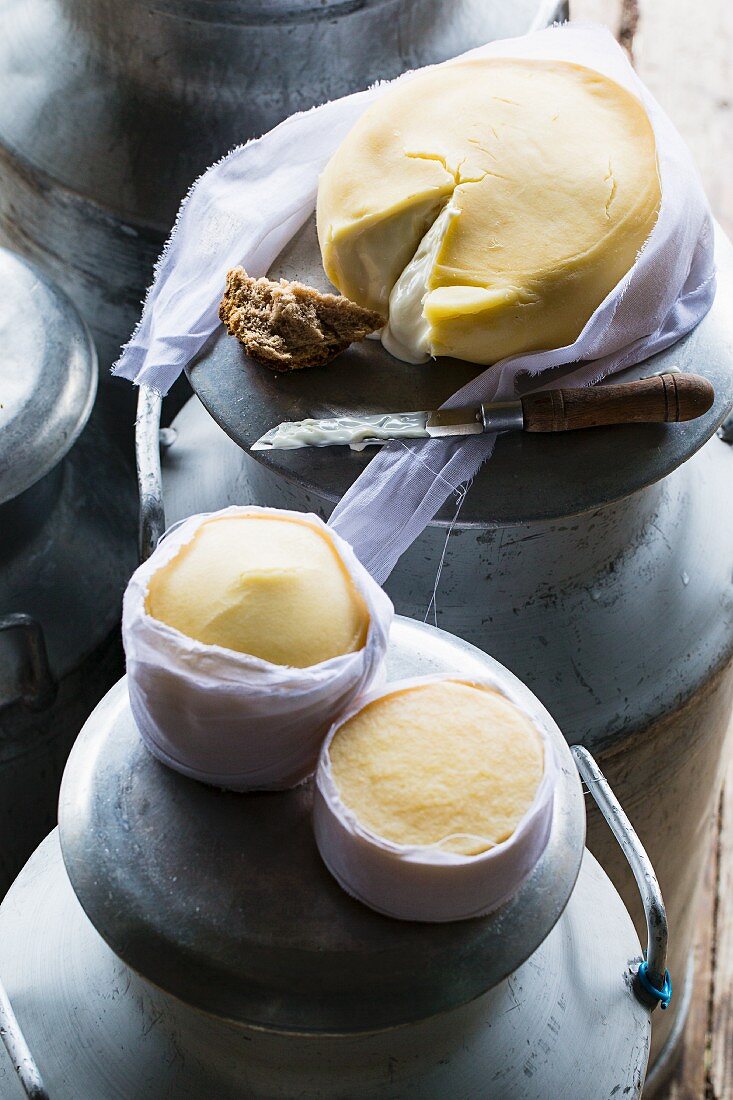 Serra Da Estrela (Käse aus Portugal) auf Milchkanne