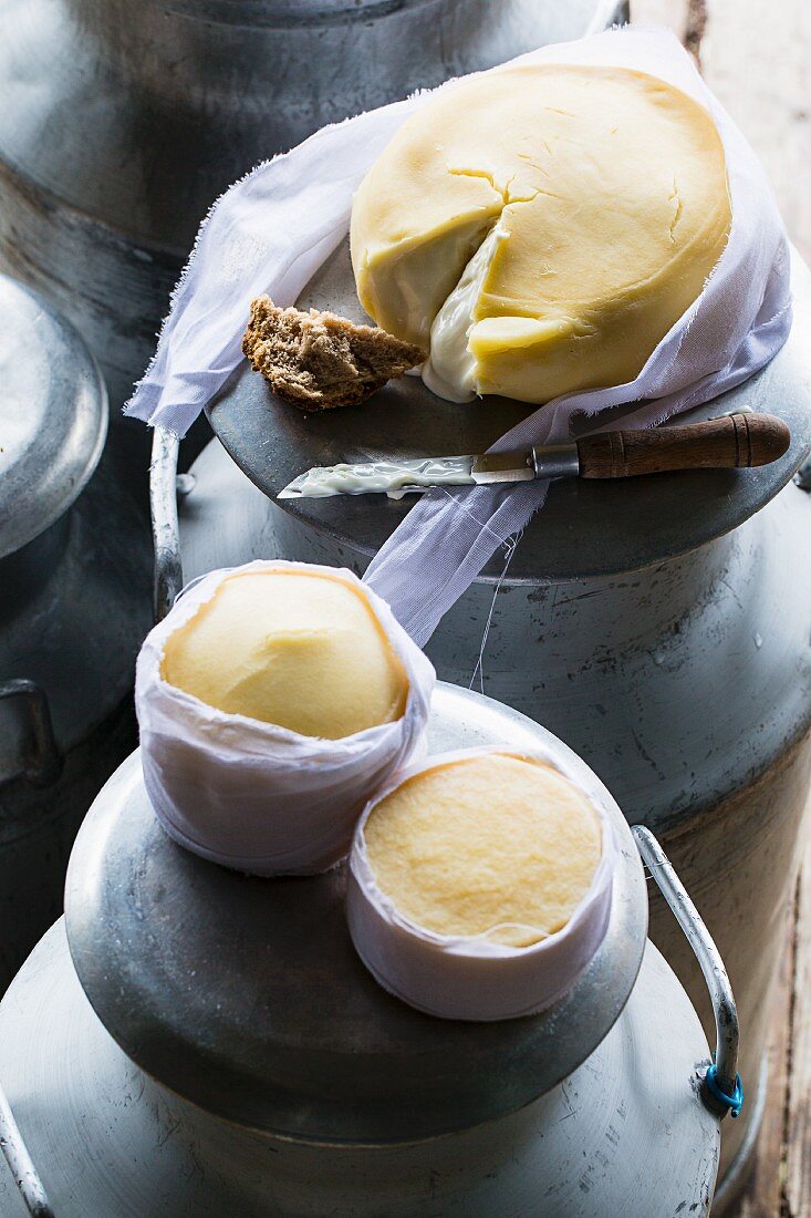 Serra Da Estrela (Portuguese cheese) on milk churns