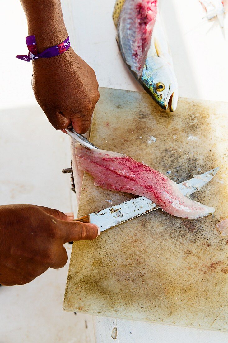 Ceviche vorbereiten: Fisch filetieren