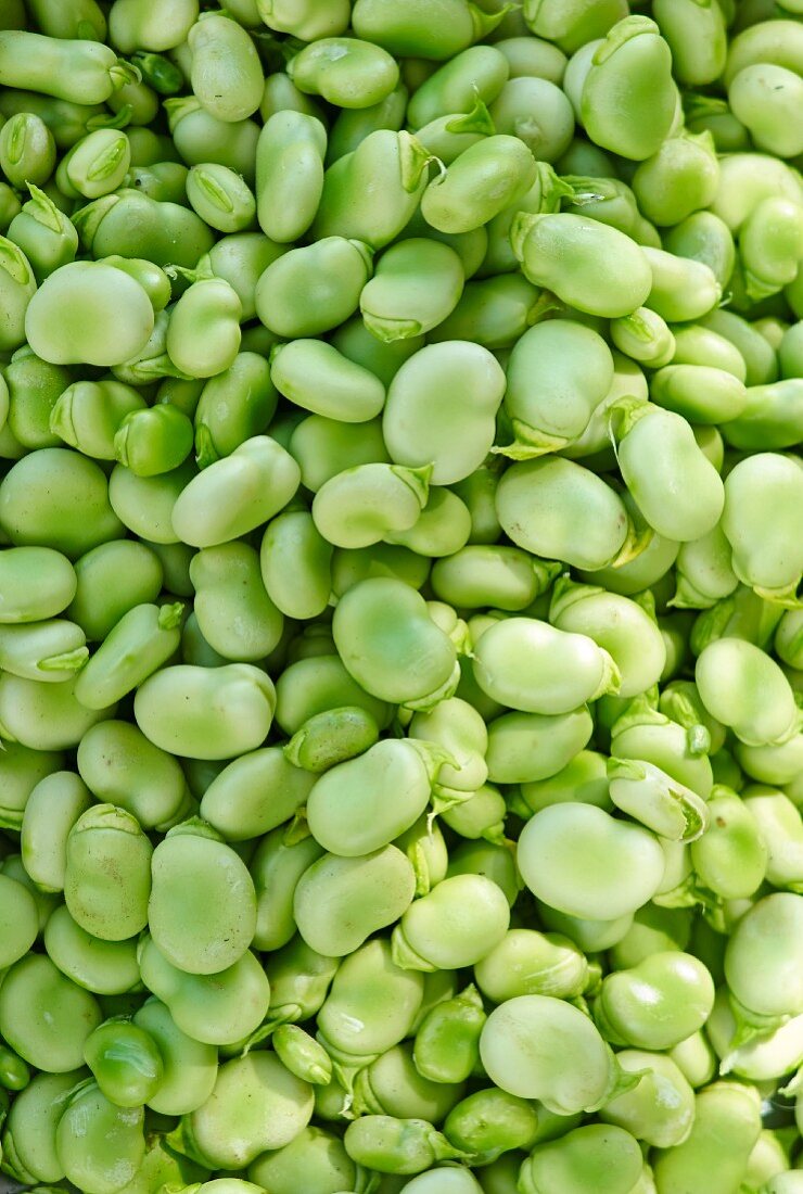 Broad beans (full frame)