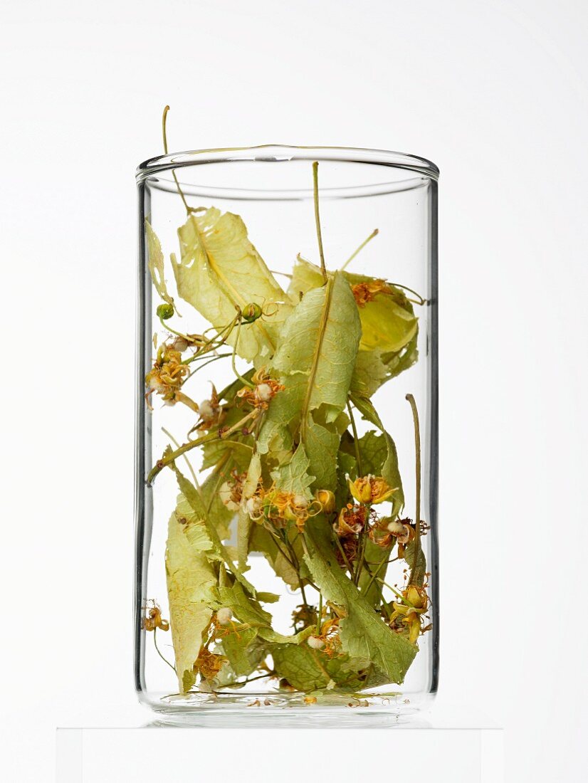Lime flowers and leaves in a glass container