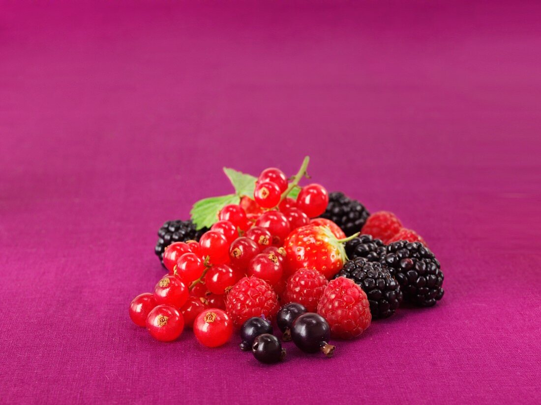 Gemischte frische Beeren vor lila Hintergrund