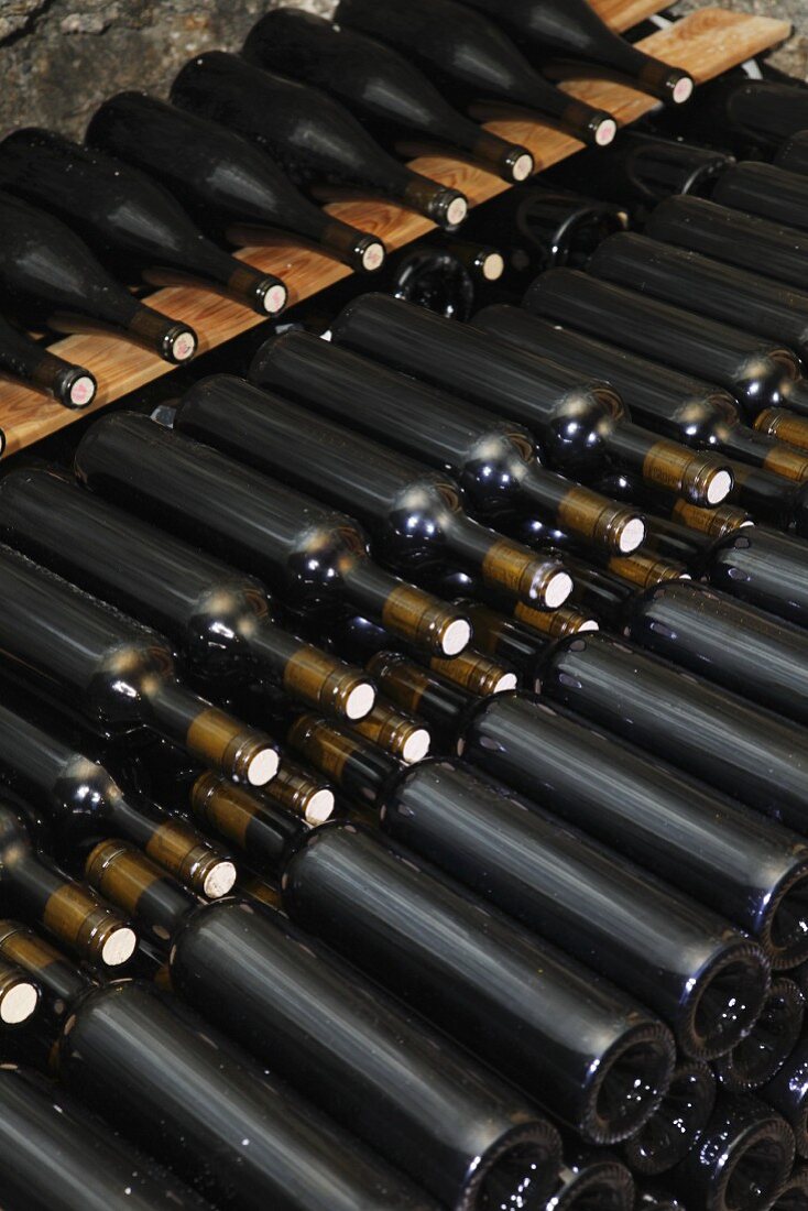 Bottles of wine in a wine cellar