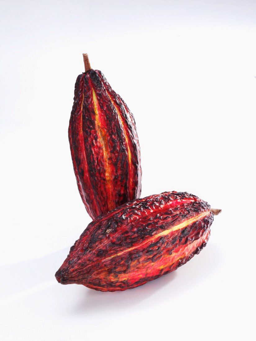 Two cacao pods