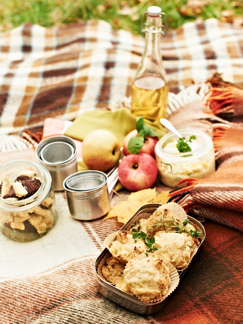 Herbstpicknick mit Käsebrötchen, Äpfeln, Apfelsaft, Eiersalat und Keksen