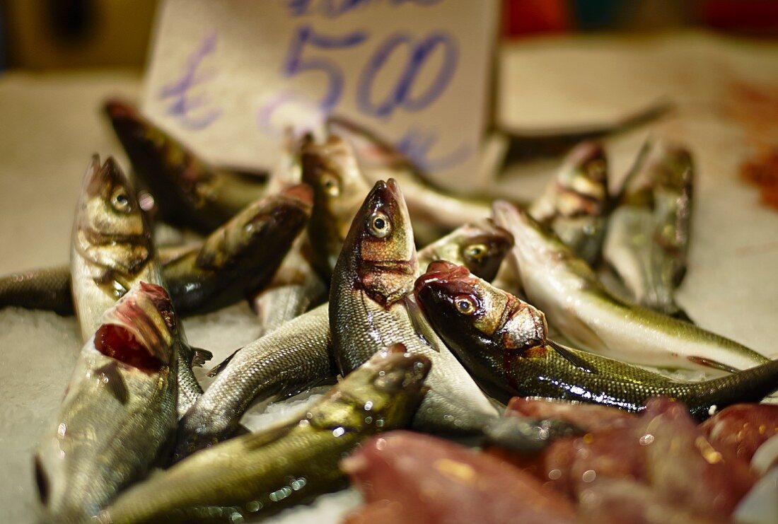 Fish at a market (Italy)
