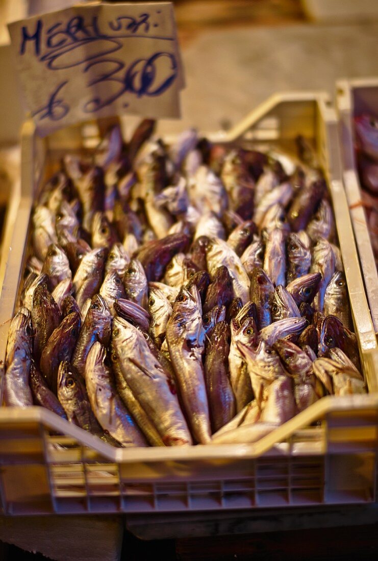 Geräucherte Fische auf dem Markt (Italien)