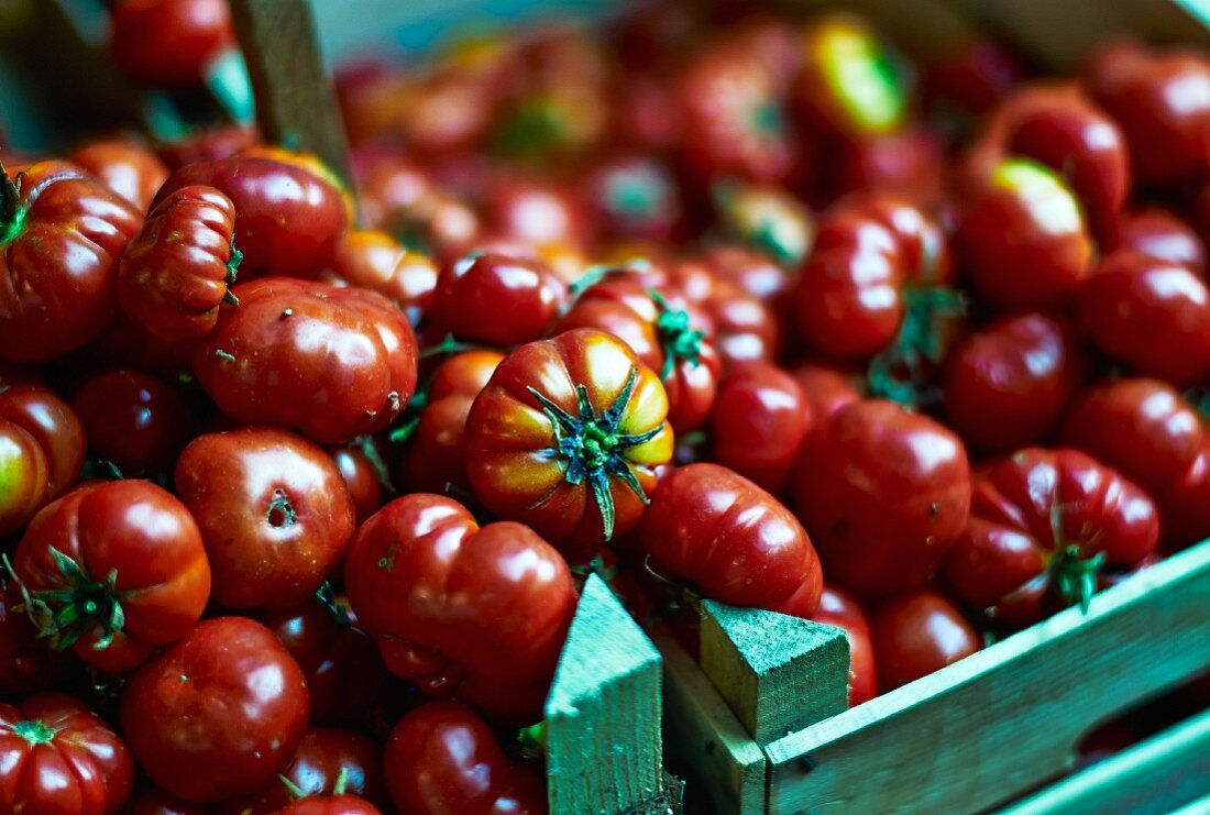 Tomaten in der Holzkiste