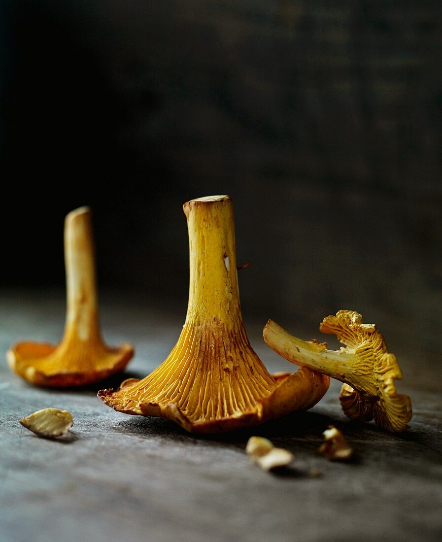 Chanterelles