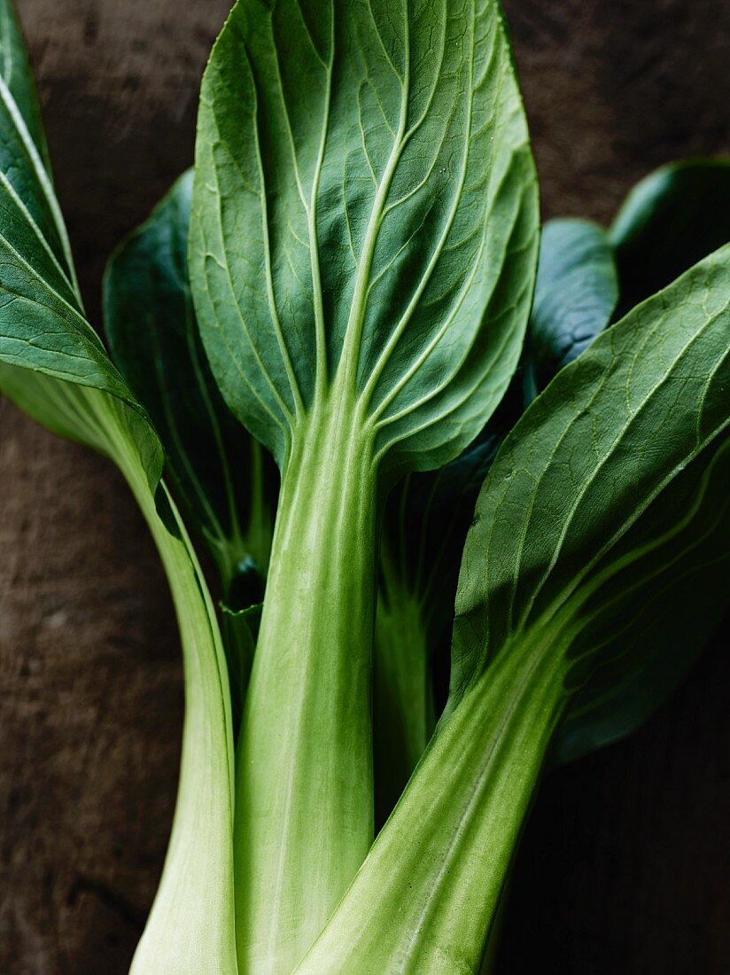 Pak choi