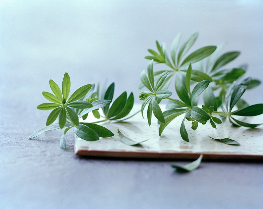 Fresh woodruff on a board