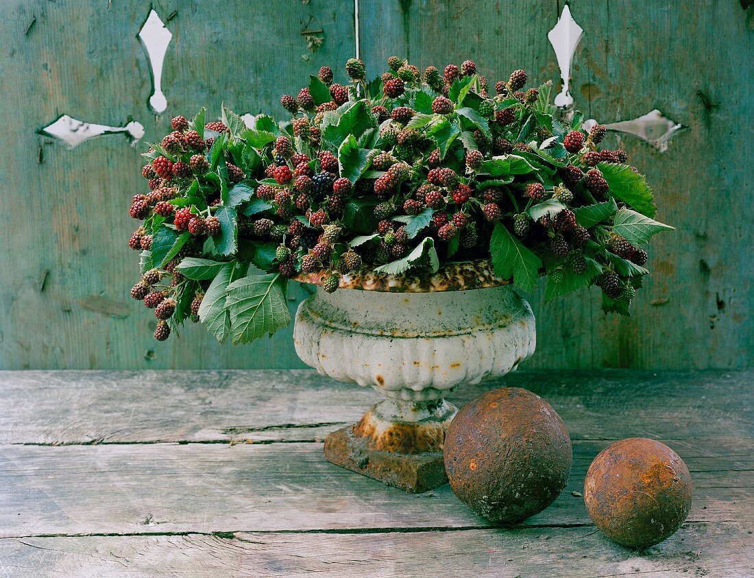 Arrangement of blackberries in decorative stone urn