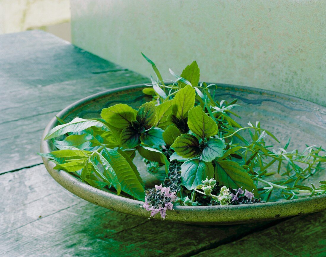 Fresh herbs in a flat dish