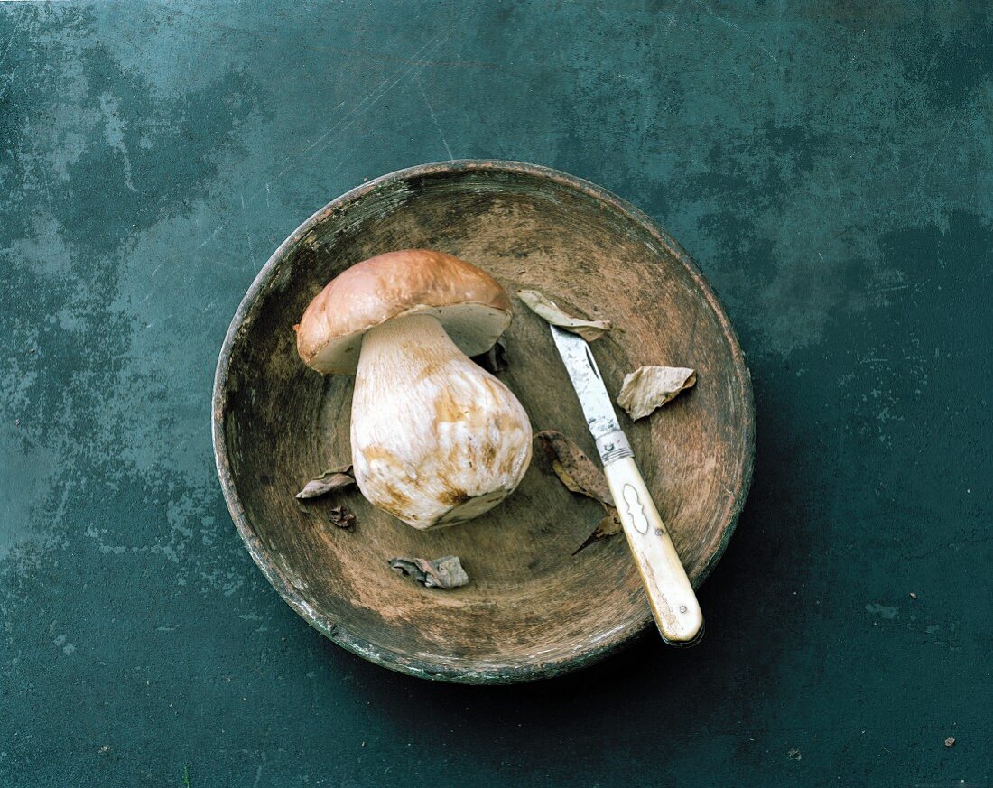 A fresh porcini mushroom in a bowl
