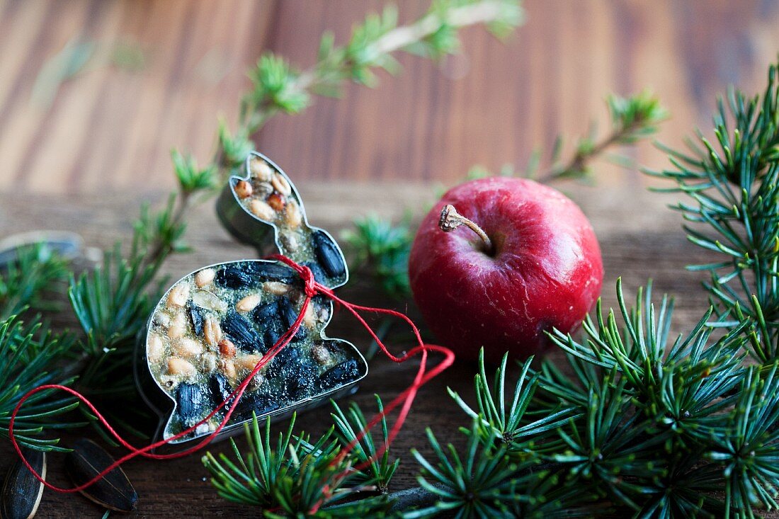 Pastry cutter filled with bird food