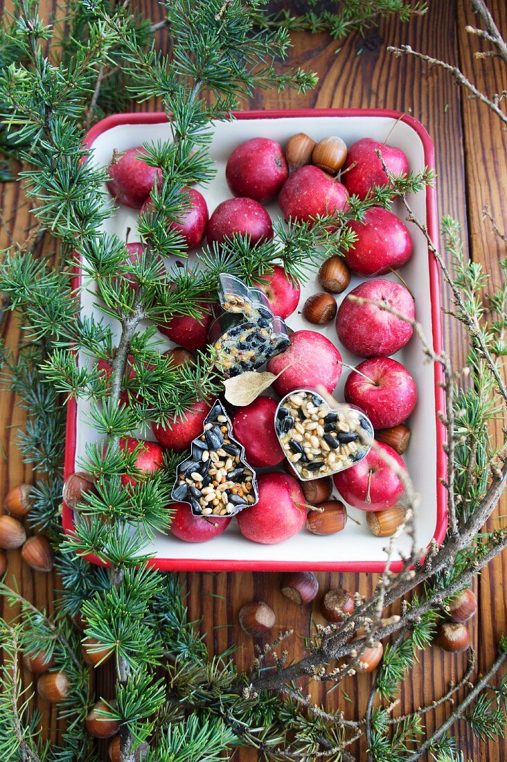 Casserole dish filled with apples and bird food as garden decoration