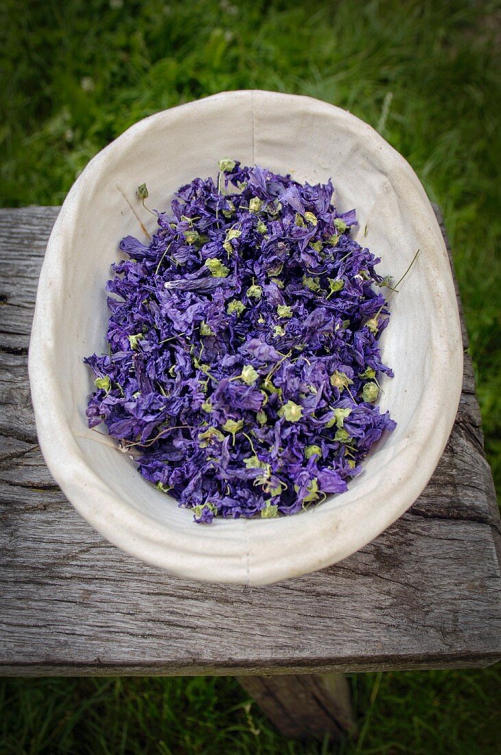 Dried mallow flowers from Burgenland, Austria