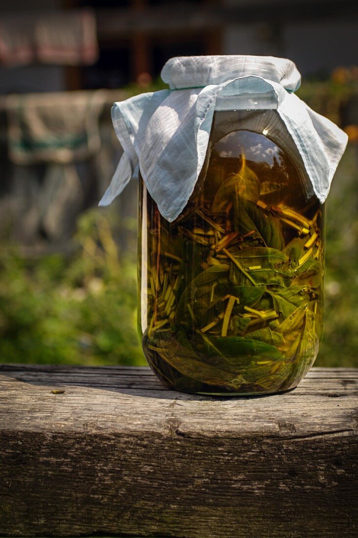 Basil preserved in oil from Burgenland, Austria