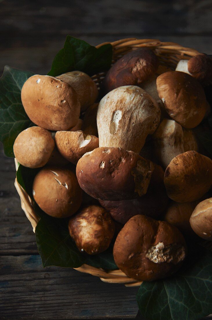 Ceps