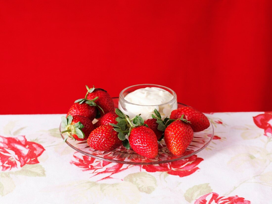 Fresh strawberries with cream