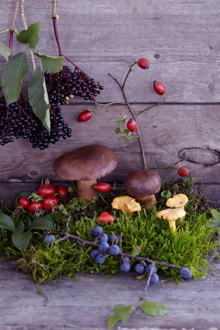 An autumnal arrangement of moss, mushrooms, blueberries, rosehips and elderberries on a wooden surface