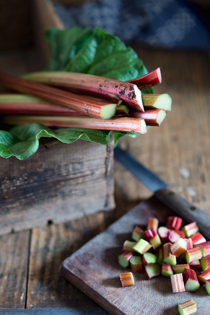 An arrangement of rhubarb