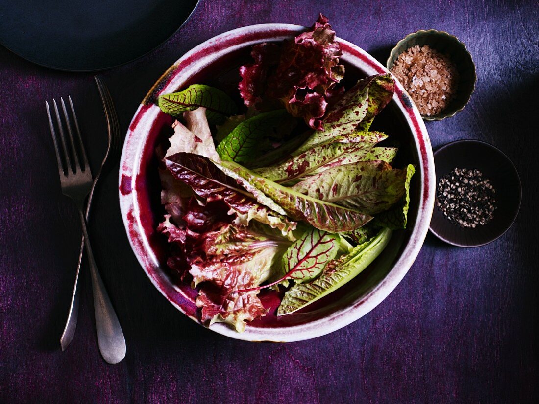 Gemischter Blattsalat und Gewürze