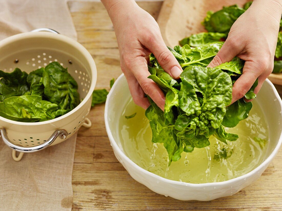 Spinach being washed