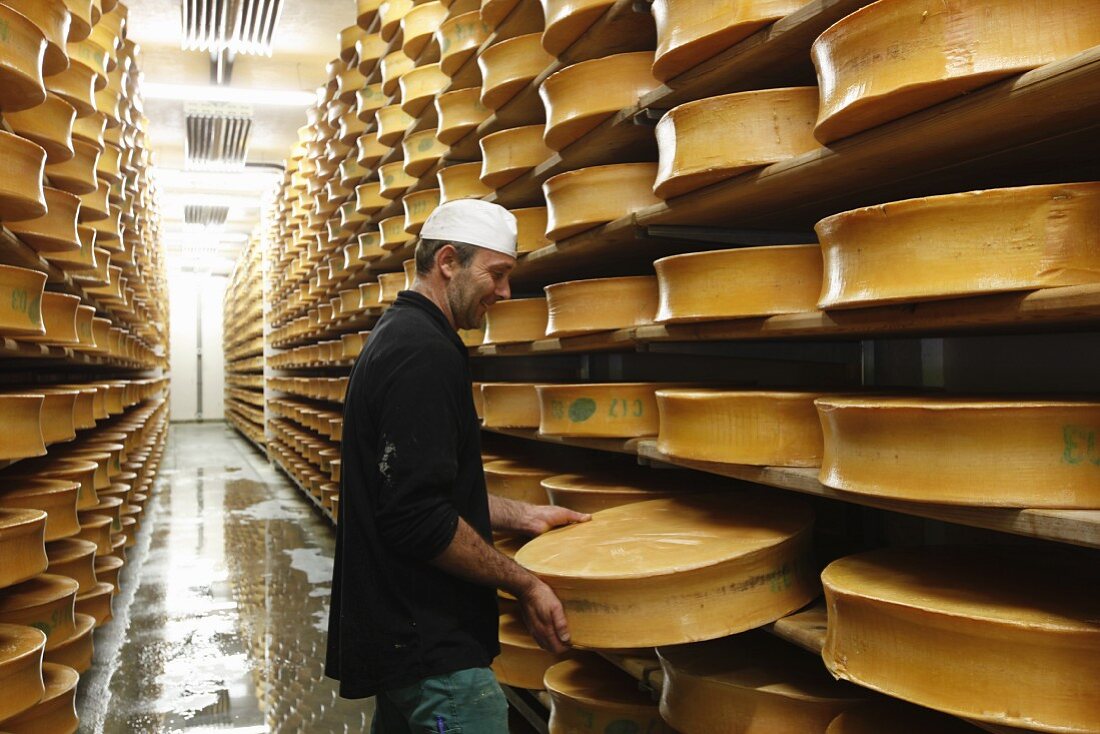 A dairy man checking wheels of cheese