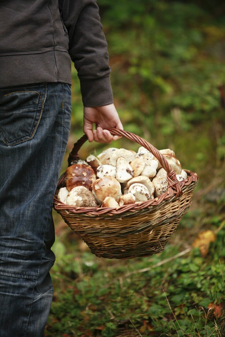 A man holding a basket full of porcini mushrooms