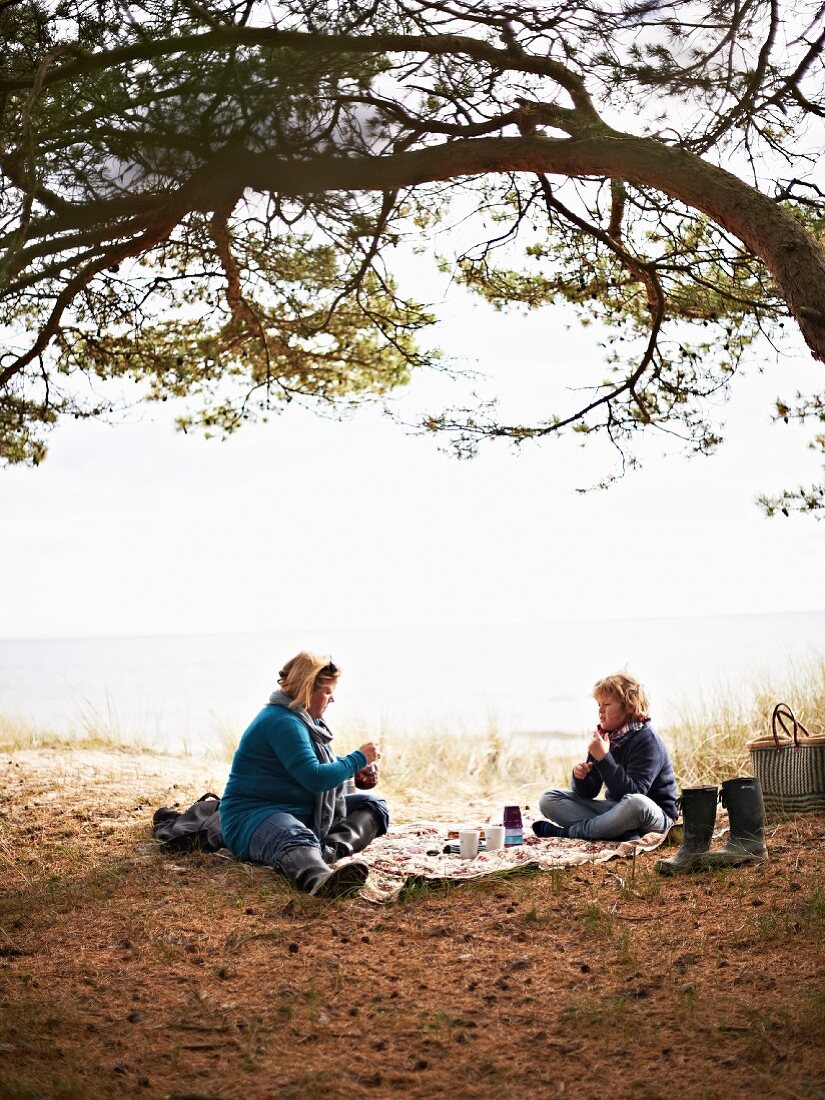 A picnic by the sea