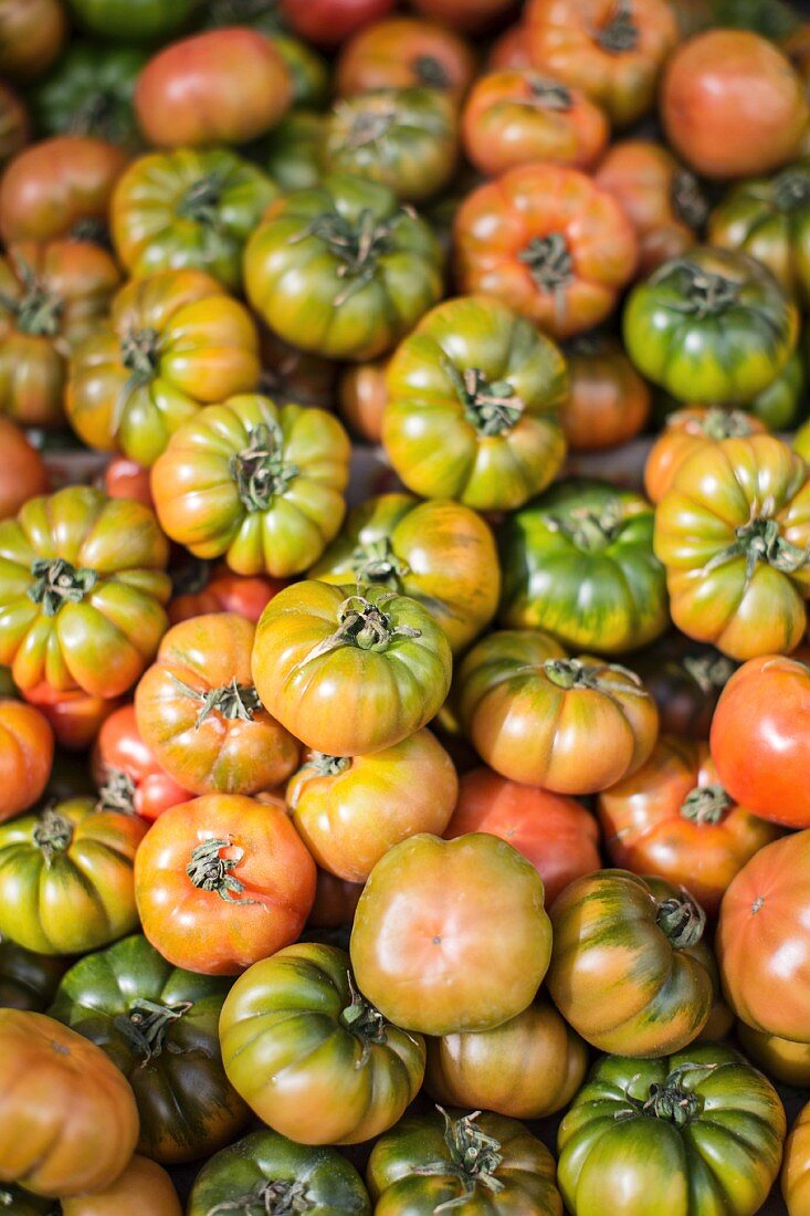 Viele Heirloom Tomaten
