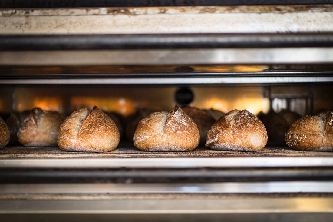 White bread being baked in an oven in a bakery