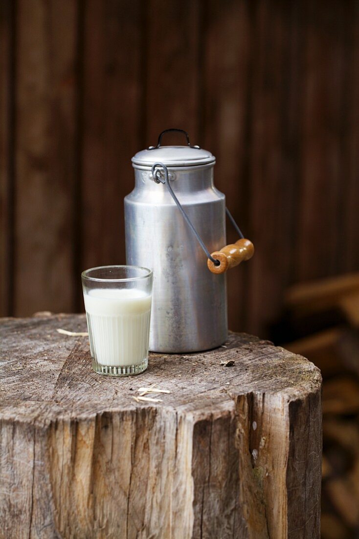A glass of milk and a milk churn on a tree stump
