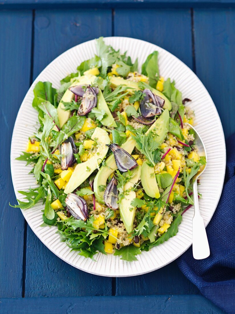 Quinoa-Mango-Salat mit Avocado, roten Zwiebeln und Mizuna