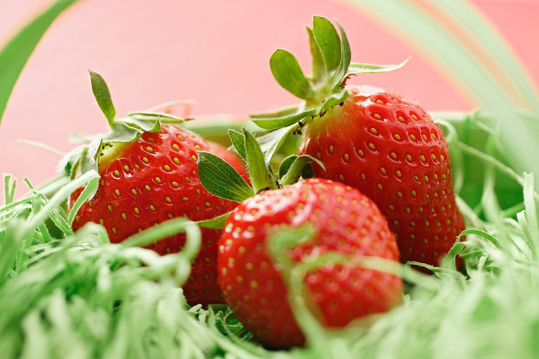 A basket of fresh strawberries (close-up)