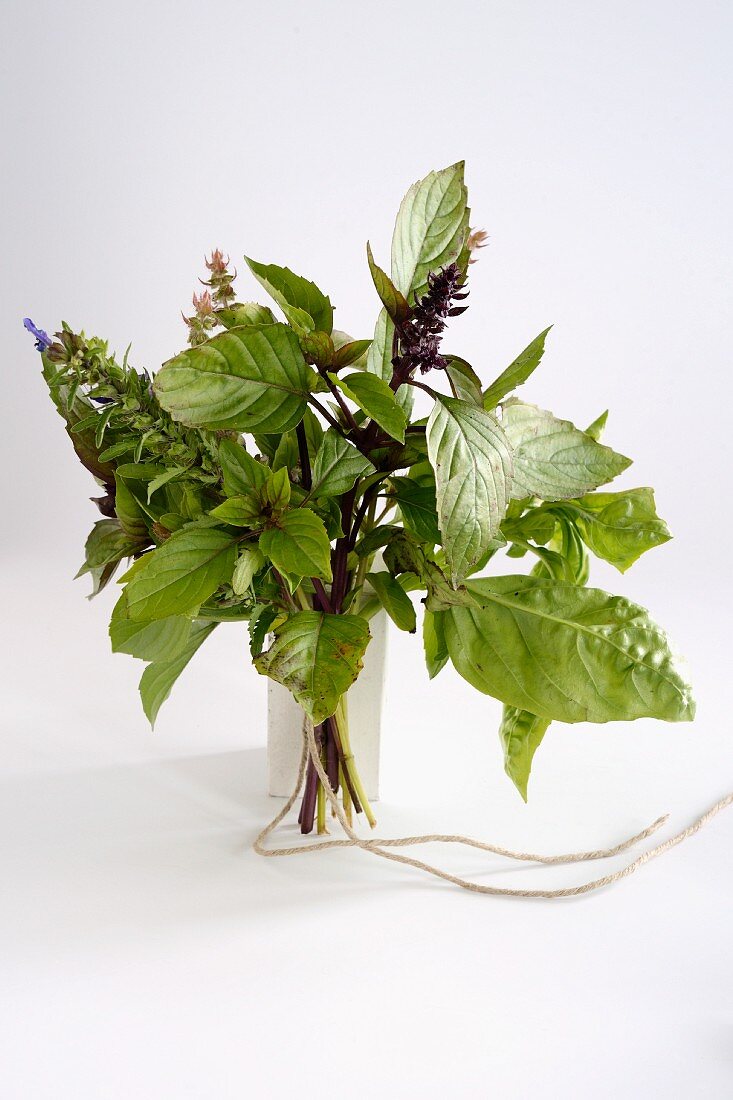 A bunch of herbs against a white background