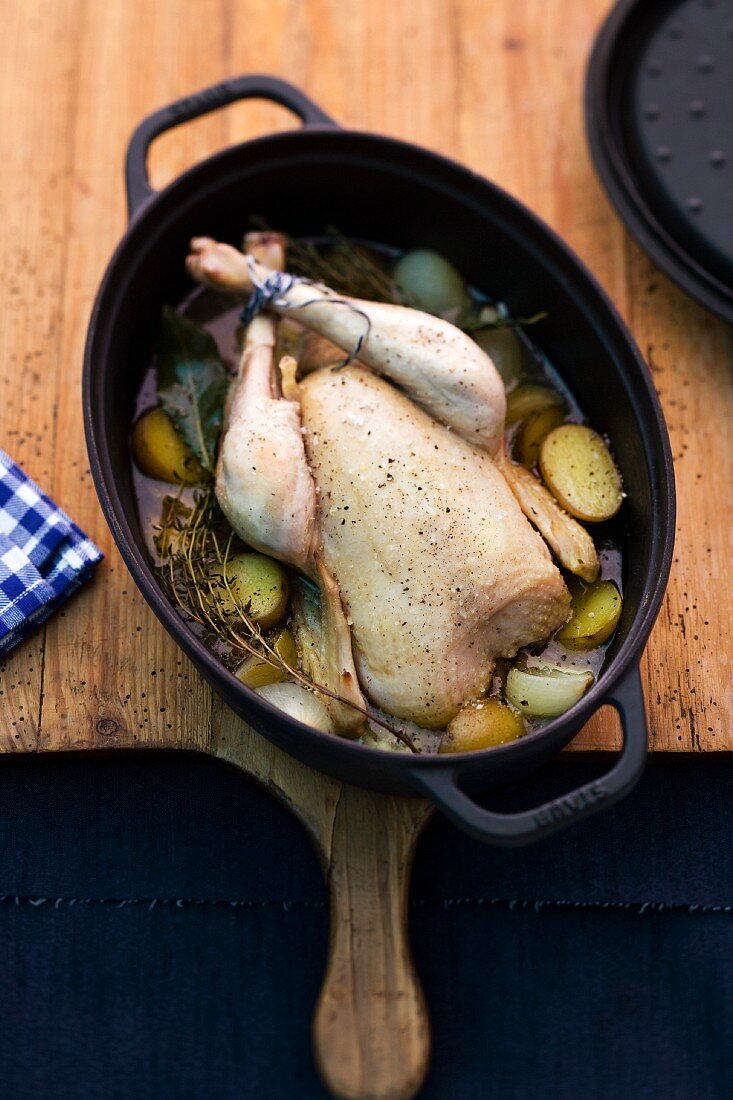 Braised chicken with vegetables