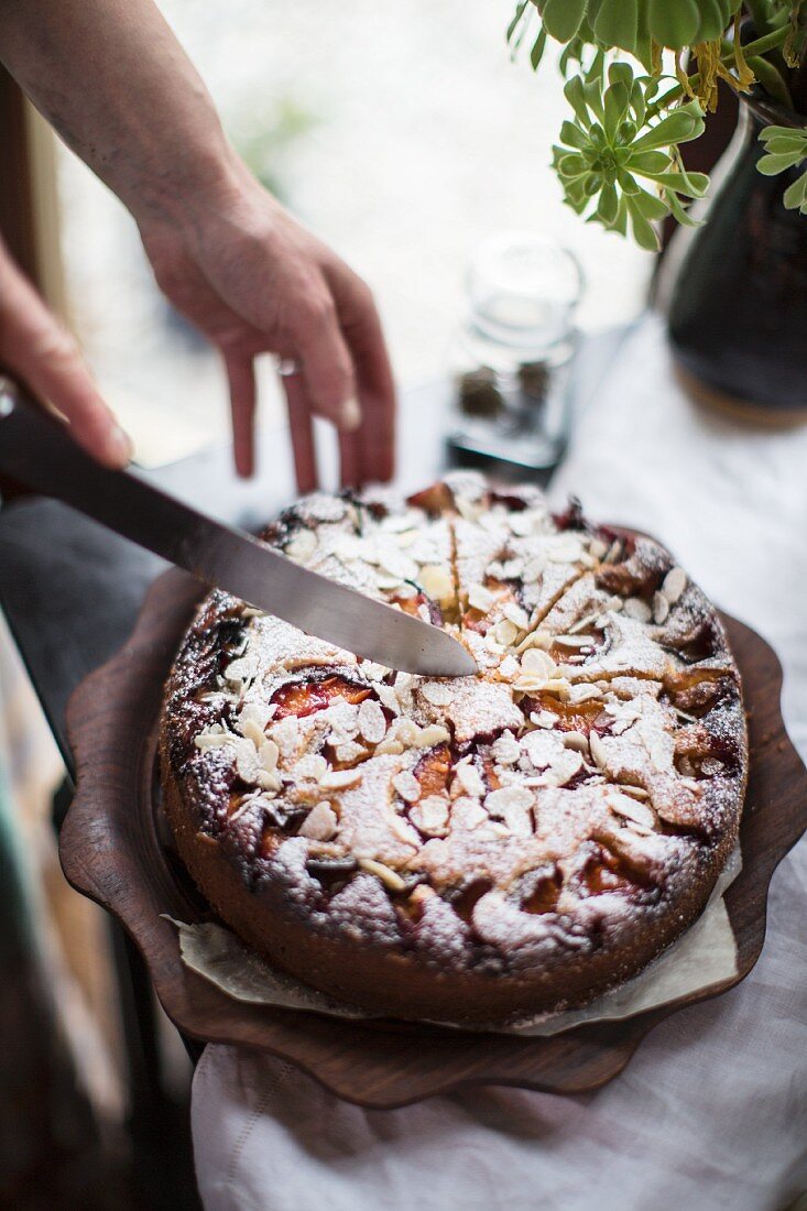 Ricotta-Mandel-Kuchen mit Pflaumen