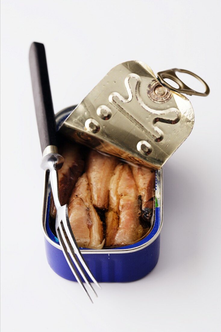 A tin of fish with a fork