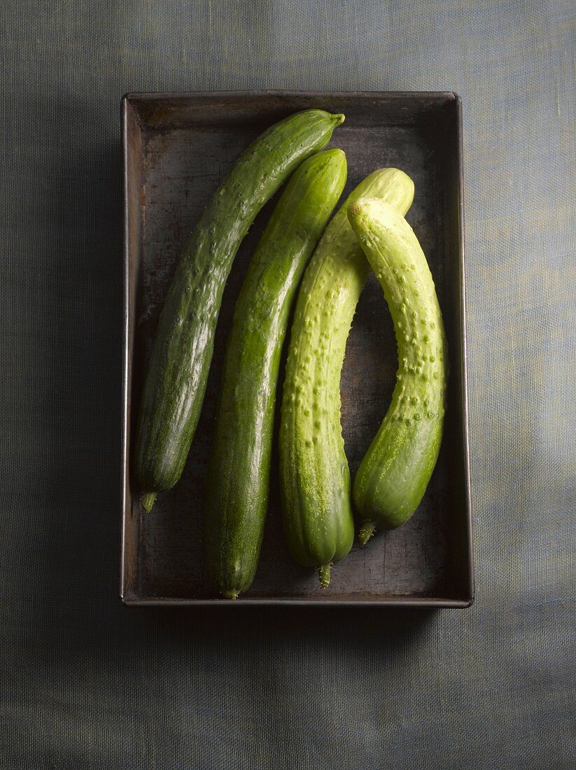Cucumbers on a metal tray