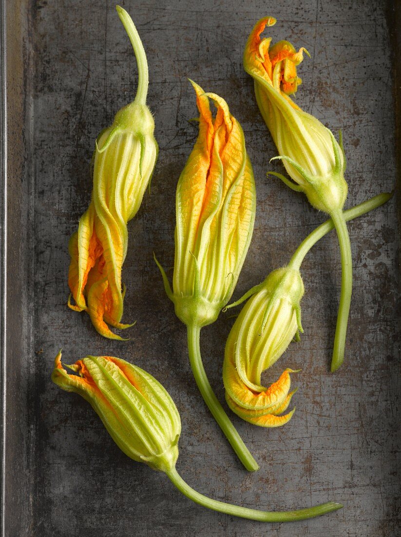 Squash flowers