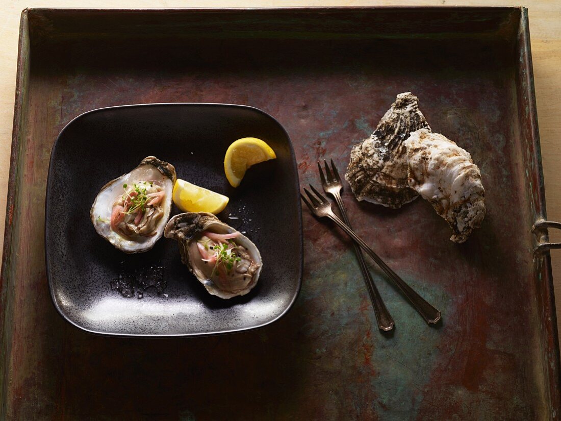 Raw oysters on a plate with lemons
