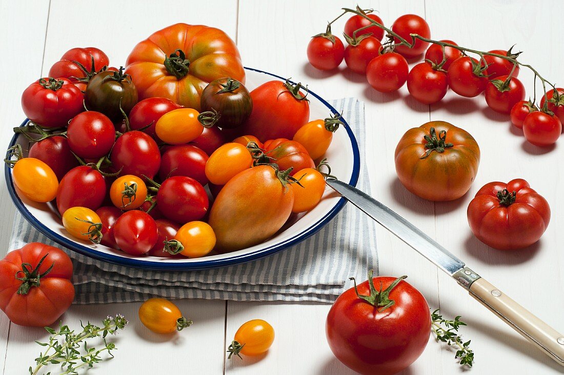 Various types of tomatoes on a plate and next to it