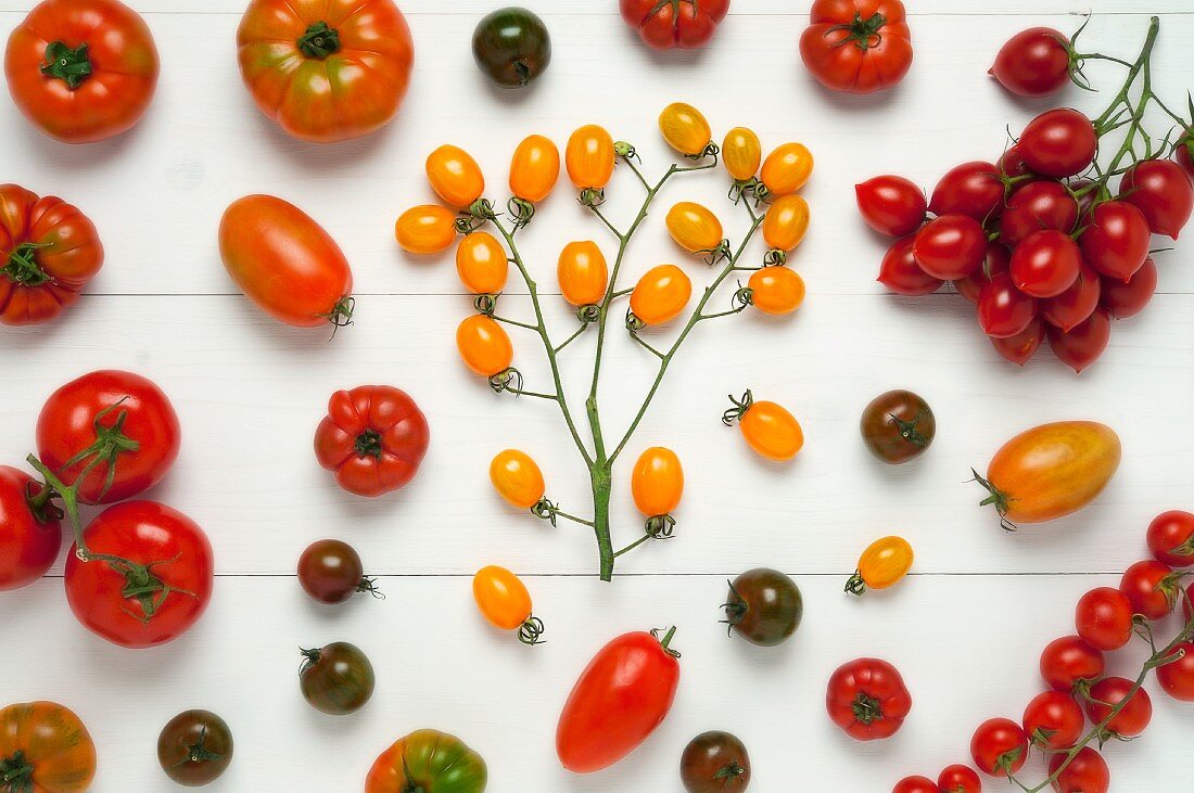 Various types of tomatoes (overhead view)