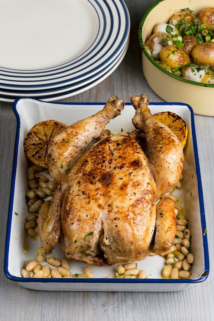 Roast chicken with lemon and white beans