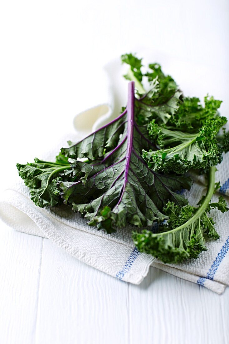 Fresh organic kale on a tea towel